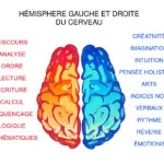 C’est quoi l’état de cerveau unifié ?